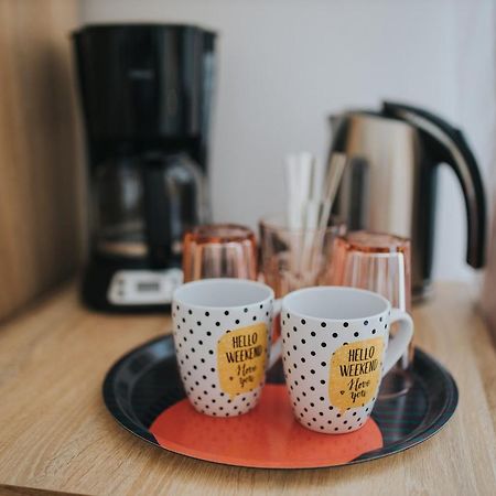 Gavri'S Classic Apartment Сибиу Екстериор снимка